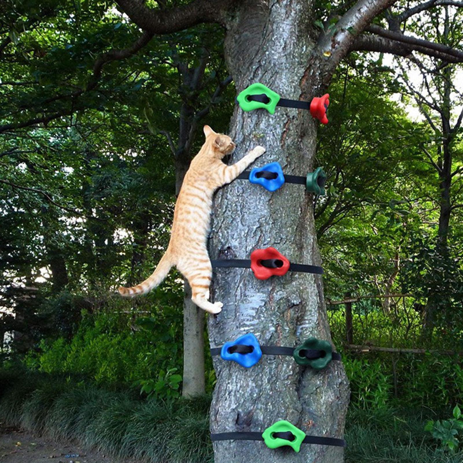 ألعاب تسلق خارجية قابلة للتعدي - مراجعة Outdoor Adventure Course وسعره